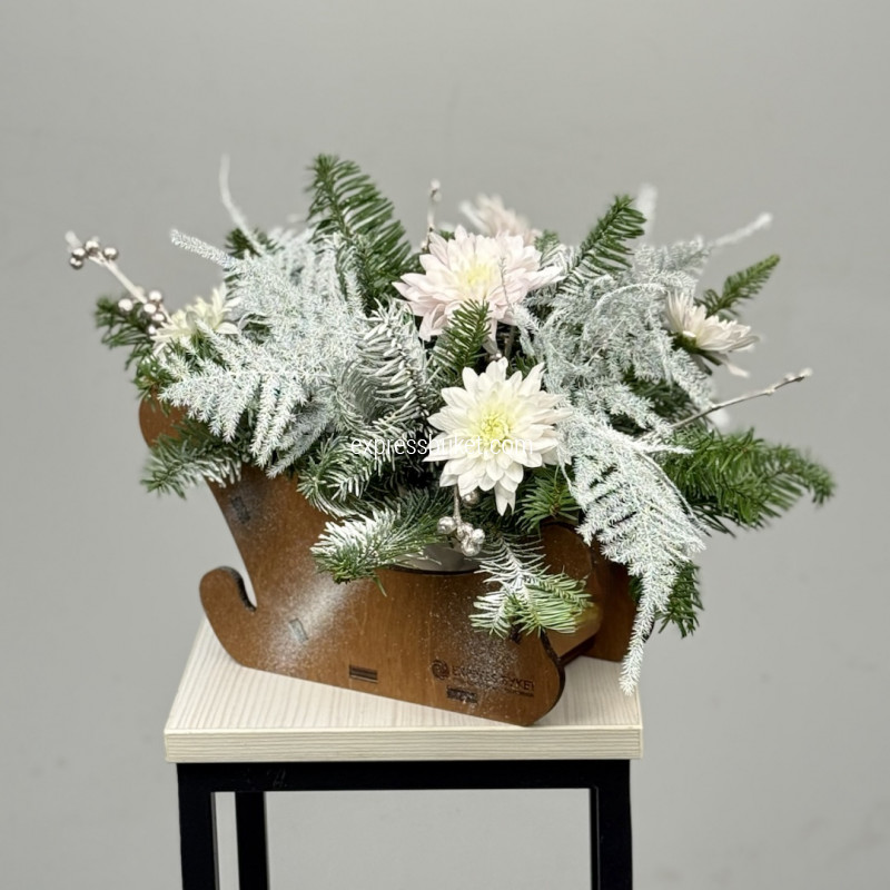 Зимние сани