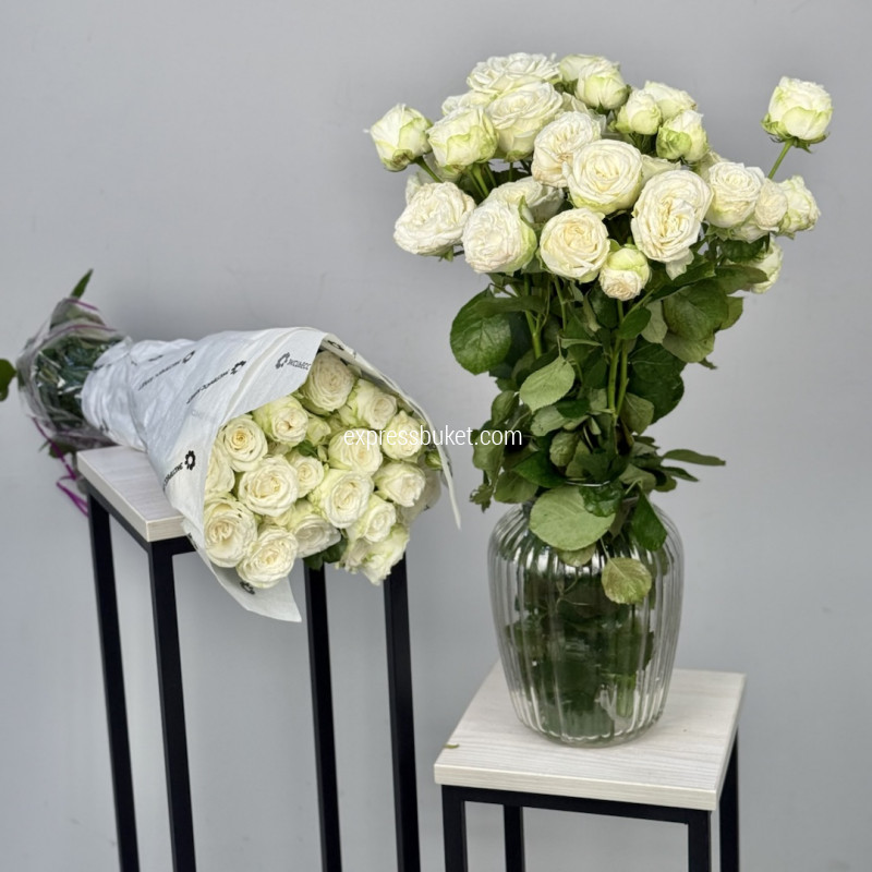 Розы Мисс Бомбастик, 10 шт