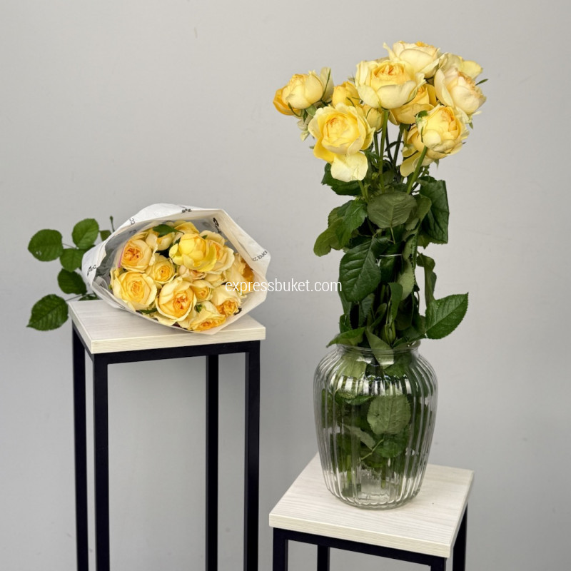 Розы Сильва Санни, 5 шт