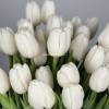 Белоснежные тюльпаны, 51шт
