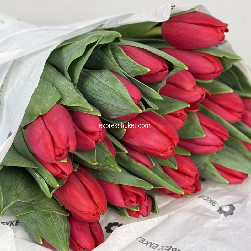Тюльпаны красные, 25 шт