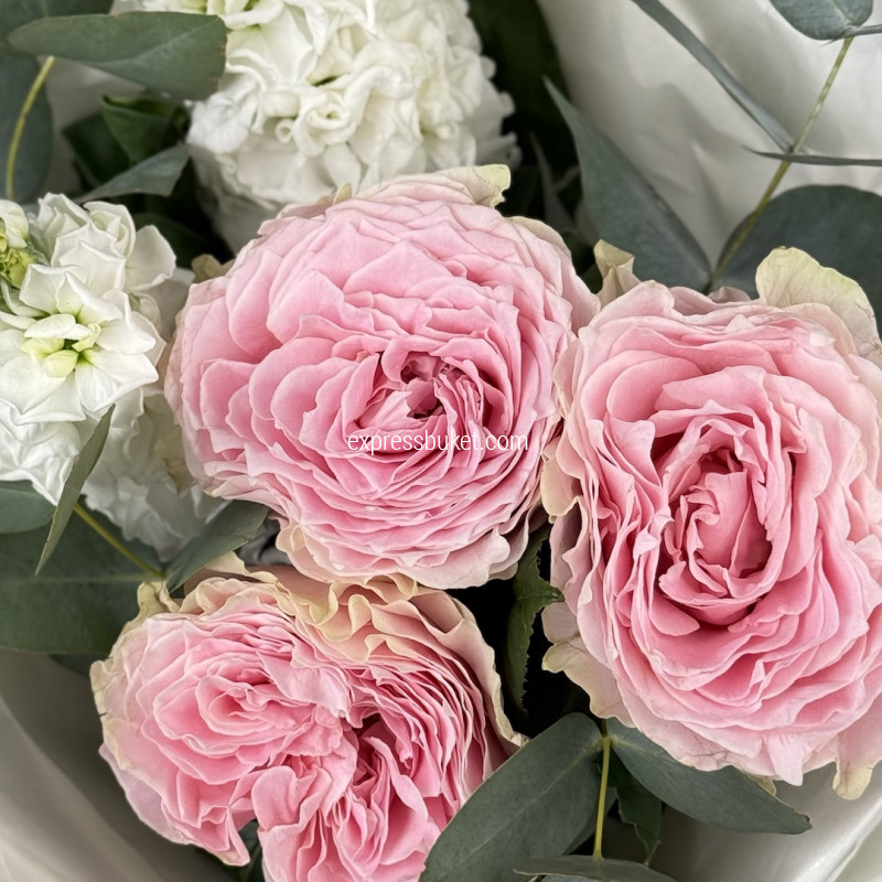 Повод влюбиться