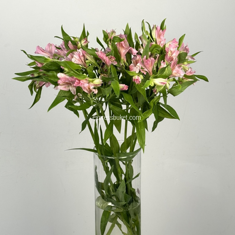 Розовая альстромерия, 10 шт