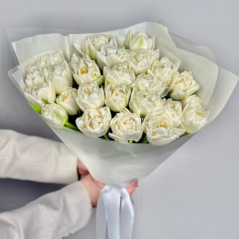 Белые тюльпаны, 25 шт