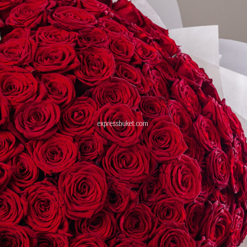 101 роза Ред Наоми