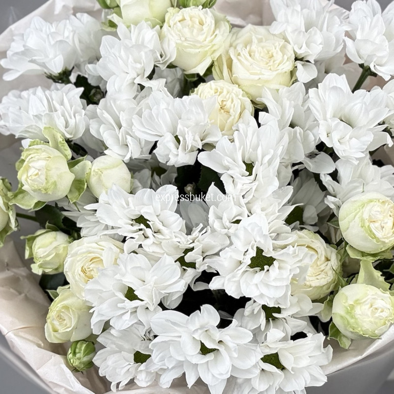 Летний луг
